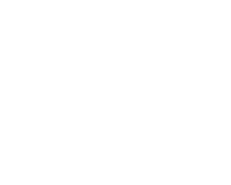 irish life logo